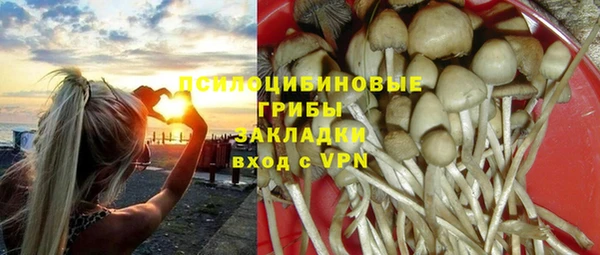 крисы Богданович