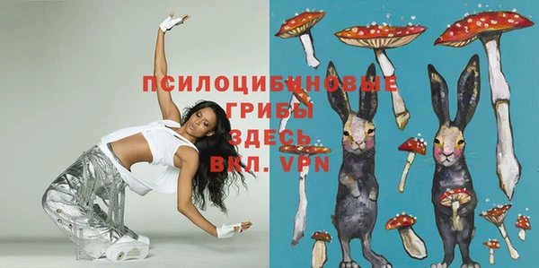 крисы Богданович