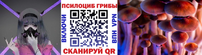 где купить наркоту  Приволжский  Галлюциногенные грибы прущие грибы 